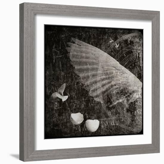 The Equations of Birds-Lydia Marano-Framed Photographic Print