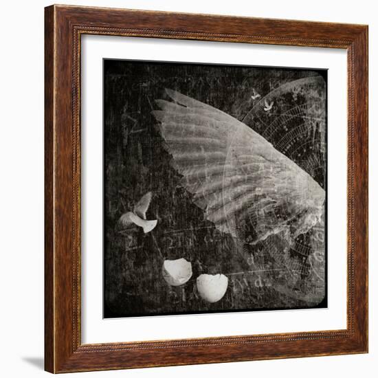 The Equations of Birds-Lydia Marano-Framed Photographic Print