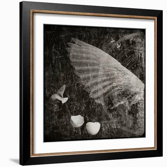 The Equations of Birds-Lydia Marano-Framed Photographic Print