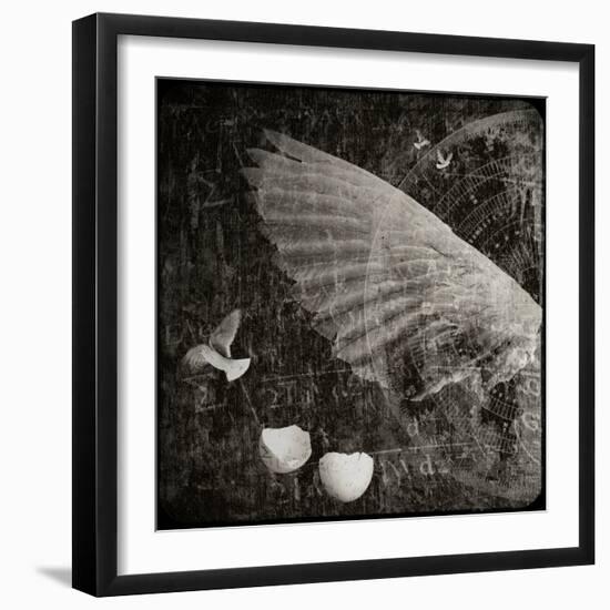 The Equations of Birds-Lydia Marano-Framed Photographic Print