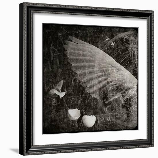 The Equations of Birds-Lydia Marano-Framed Photographic Print