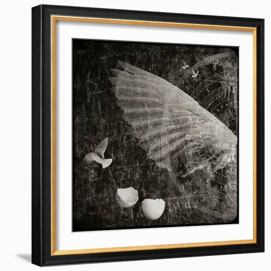 The Equations of Birds-Lydia Marano-Framed Photographic Print