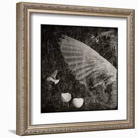 The Equations of Birds-Lydia Marano-Framed Premium Photographic Print