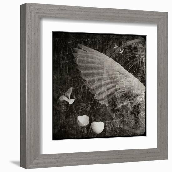 The Equations of Birds-Lydia Marano-Framed Premium Photographic Print