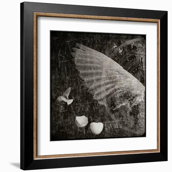 The Equations of Birds-Lydia Marano-Framed Premium Photographic Print