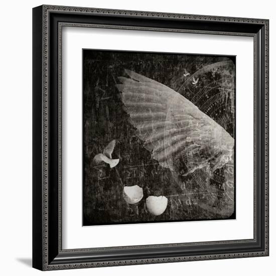 The Equations of Birds-Lydia Marano-Framed Premium Photographic Print