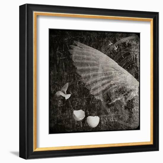 The Equations of Birds-Lydia Marano-Framed Premium Photographic Print