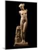 The Esquiline Venus, Roman copy of a Greek original, Marble, 1st century BC-null-Mounted Photographic Print