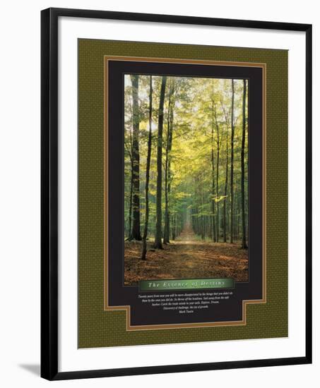 The Essence of Destiny-null-Framed Art Print