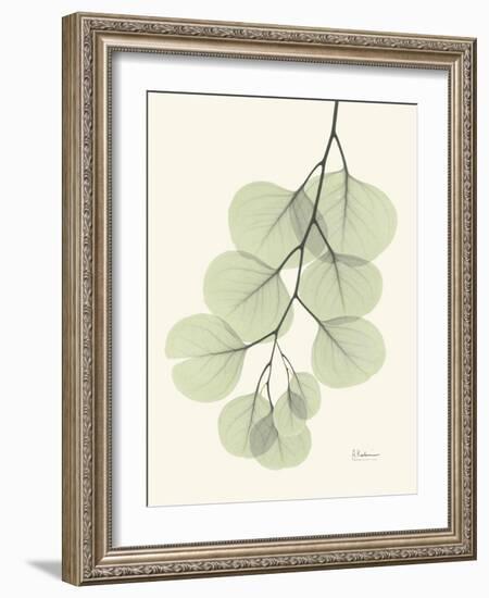 The Eucalyptus Moment-Albert Koetsier-Framed Art Print