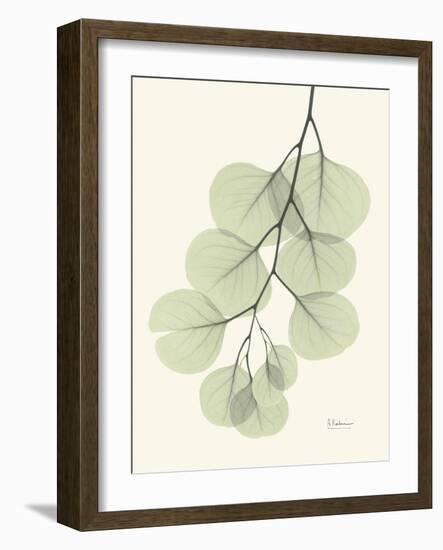 The Eucalyptus Moment-Albert Koetsier-Framed Art Print