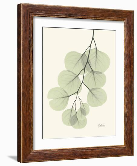 The Eucalyptus Moment-Albert Koetsier-Framed Art Print