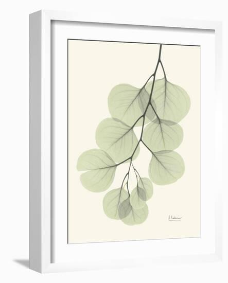 The Eucalyptus Moment-Albert Koetsier-Framed Art Print