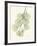 The Eucalyptus Moment-Albert Koetsier-Framed Premium Giclee Print