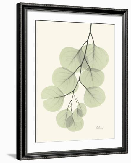 The Eucalyptus Moment-Albert Koetsier-Framed Premium Giclee Print