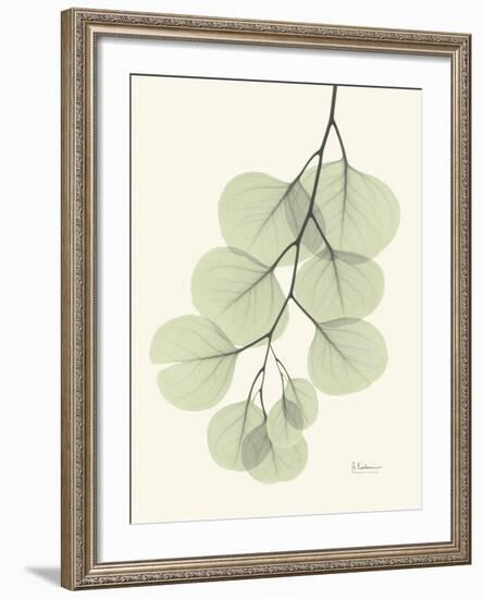 The Eucalyptus Moment-Albert Koetsier-Framed Premium Giclee Print