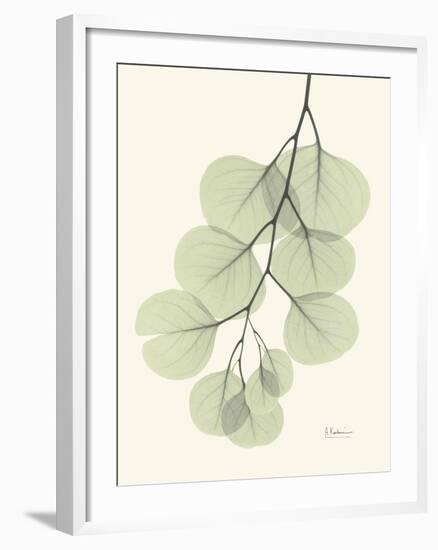 The Eucalyptus Moment-Albert Koetsier-Framed Premium Giclee Print