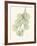 The Eucalyptus Moment-Albert Koetsier-Framed Premium Giclee Print