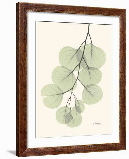 The Eucalyptus Moment-Albert Koetsier-Framed Premium Giclee Print