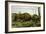 The European Bison-null-Framed Giclee Print