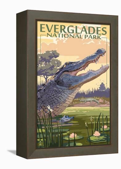 The Everglades National Park, Florida - Alligator Scene-Lantern Press-Framed Stretched Canvas