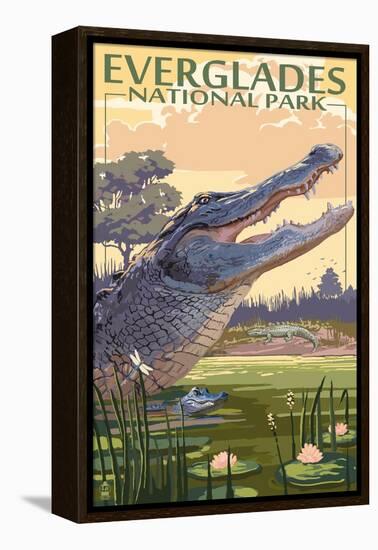 The Everglades National Park, Florida - Alligator Scene-Lantern Press-Framed Stretched Canvas