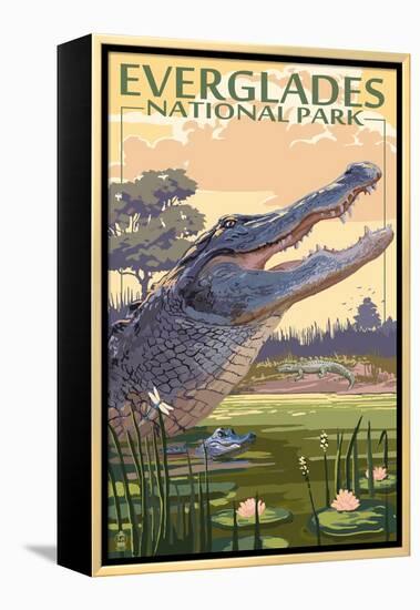 The Everglades National Park, Florida - Alligator Scene-Lantern Press-Framed Stretched Canvas