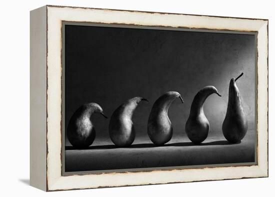 The Evolution-Victoria Ivanova-Framed Premier Image Canvas