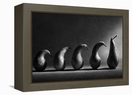 The Evolution-Victoria Ivanova-Framed Premier Image Canvas