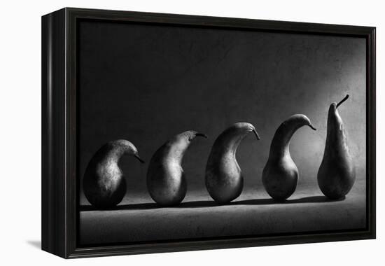 The Evolution-Victoria Ivanova-Framed Premier Image Canvas