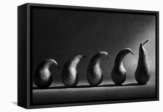 The Evolution-Victoria Ivanova-Framed Premier Image Canvas