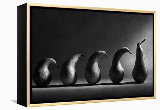 The Evolution-Victoria Ivanova-Framed Premier Image Canvas