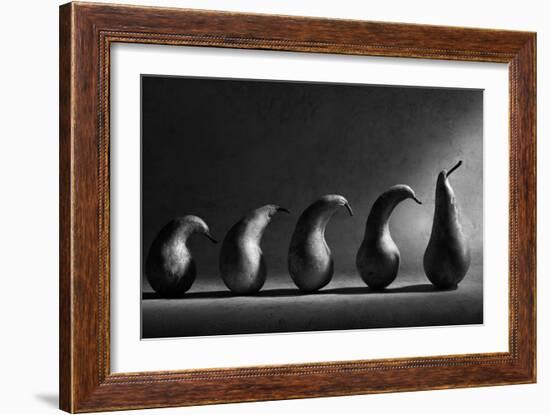 The Evolution-Victoria Ivanova-Framed Photographic Print