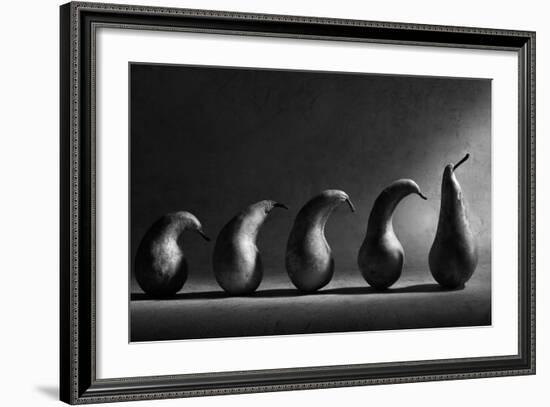 The Evolution-Victoria Ivanova-Framed Photographic Print