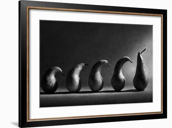 The Evolution-Victoria Ivanova-Framed Photographic Print