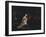 The Execution of Lady Jane Grey, 1834-Paul Delaroche-Framed Giclee Print