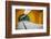 The Exit of the Odeanspaltz U-Bahn Station in Altstadt - Lehel, Munich, Bavaria, Germany.-Cahir Davitt-Framed Photographic Print