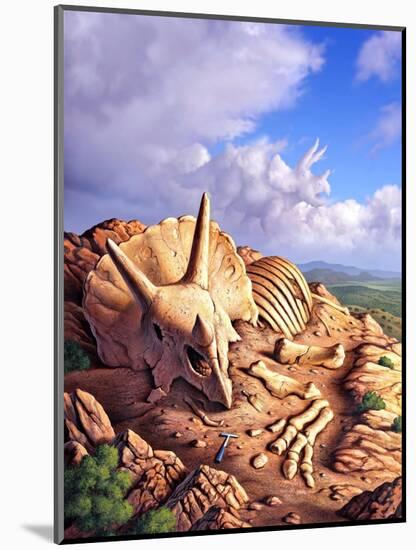 Art Print, , large