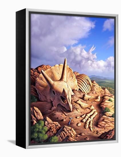 The Exposed Bones of a Triceratops on a Western Landscape-null-Framed Stretched Canvas