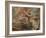 The Expulsion from the Garden of Eden-Peter Paul Rubens-Framed Giclee Print