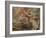 The Expulsion from the Garden of Eden-Peter Paul Rubens-Framed Giclee Print