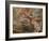 The Expulsion from the Garden of Eden-Peter Paul Rubens-Framed Giclee Print