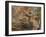 The Expulsion from the Garden of Eden-Peter Paul Rubens-Framed Giclee Print