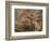 The Expulsion from the Garden of Eden-Peter Paul Rubens-Framed Giclee Print