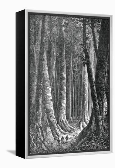 The Extensive Forests of Guyana, French Guiana, Engraving by Henri Theophile Hildebrand-null-Framed Premier Image Canvas