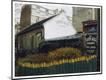 Photographic Print