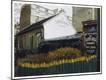 Photographic Print