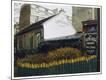 Photographic Print