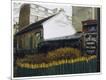 Photographic Print
