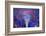 The Eye at Night-Adrian Campfield-Framed Photographic Print